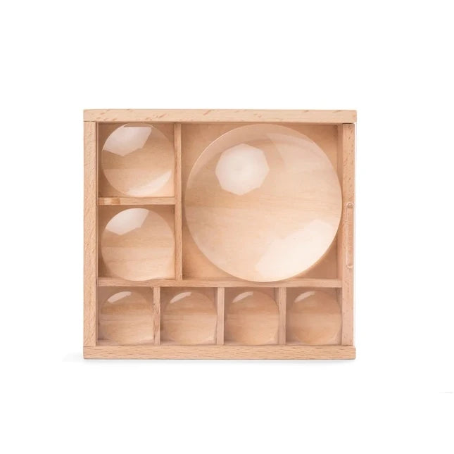 Huckleberry My Little Museum Bug Box - Best for Ages 5 to 11 - US 3816