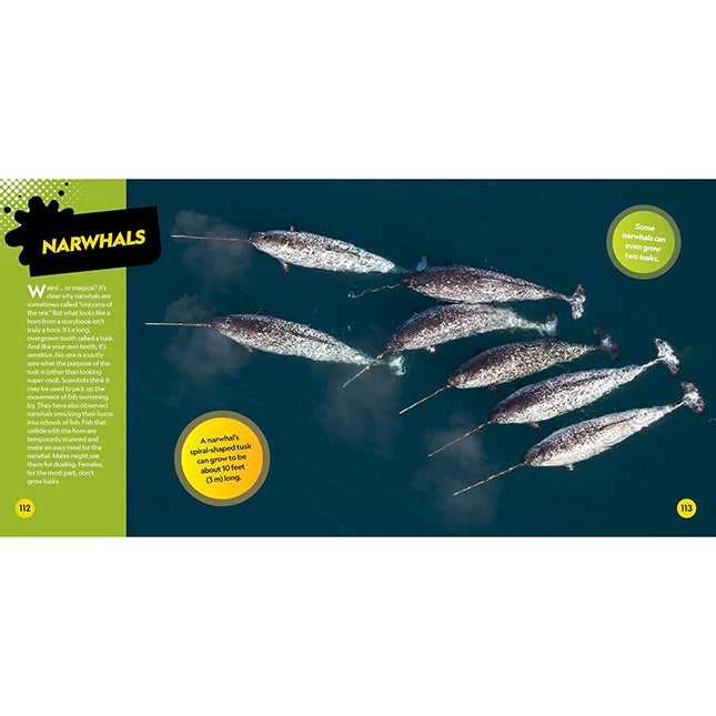 National Geographic Kids Weirdest Animals on the Planet - US 2801