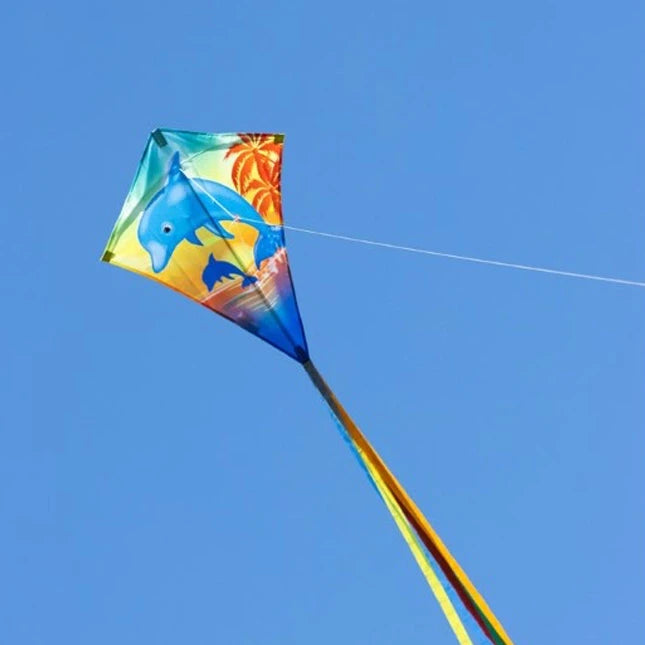 Eddy Dolphin Sunset Kite - 28 inch - Best Active Play for Ages 5 to 10 - US 4914