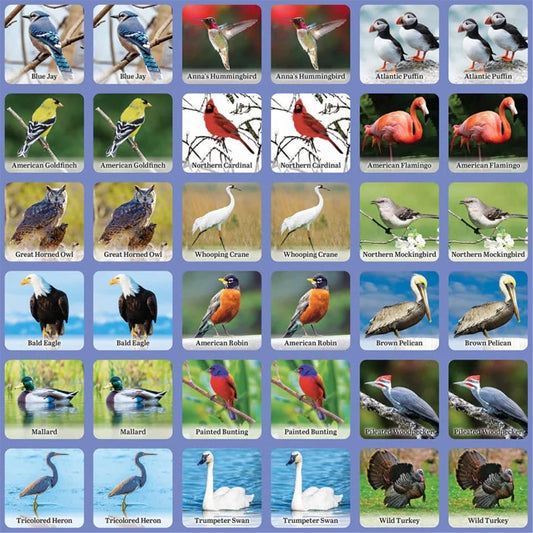 Audubon Bird Matching Game - Best Games for Ages 3 to 9 - US 2027