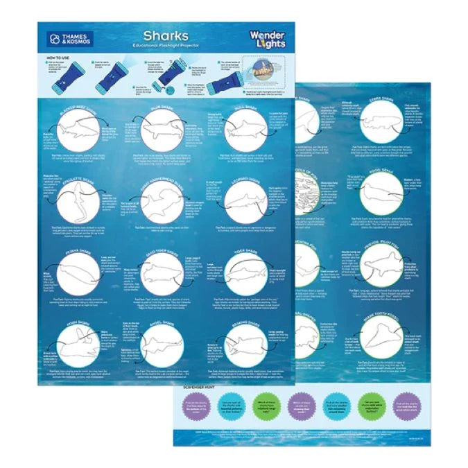 Wonder Lights - Sharks - Best RC & Electronics for Ages 3 to 8 - US 5762