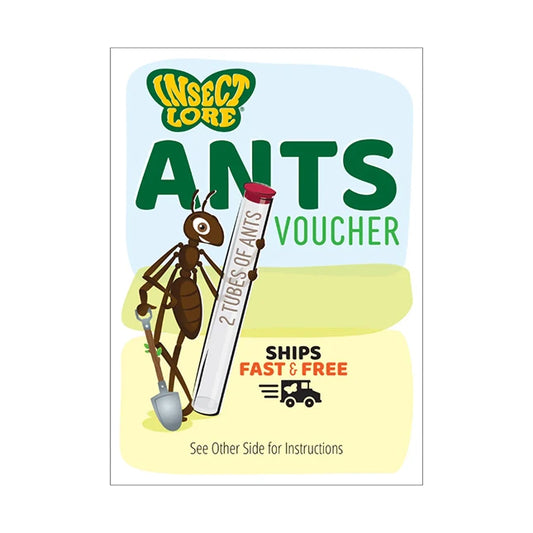 Ant Hill with Prepaid Voucher - - Fat Brain Toys - US 6867