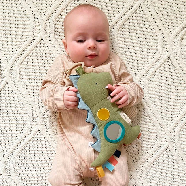 Bitzy Traveler - Best Baby Toys &amp; Gifts for Ages 0 to 1 - US 9253