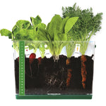 Grow &amp; See Vegetable Garden - Best for Ages 6 to 11 - US 1353