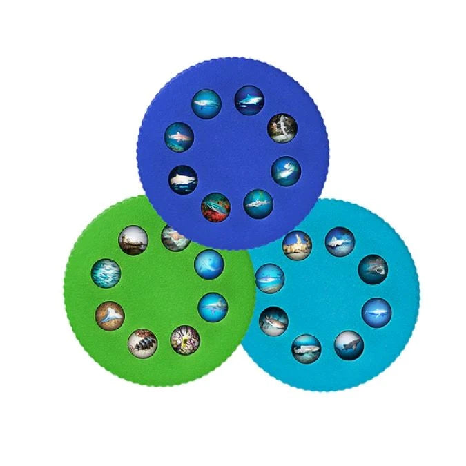 Wonder Lights - Sharks - Best RC &amp; Electronics for Ages 3 to 8 - US 5762