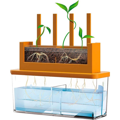 4M Green Science Grow-A-Maze Kit - Best for Ages 5 to 12 - US 8853